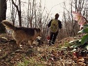 87 E rigodiamo la vista degli ellebori in fiore